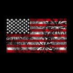 LA-Pop-Art-Women_27s-Word-Art-T-Shirt-Fireworks-American-Flag_bad2d963-6df8-4b4d-90ec-7b2d945167d4